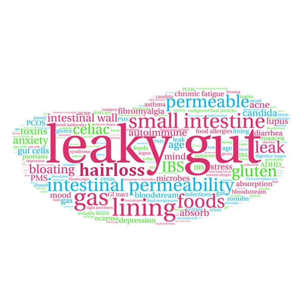 Leaky Gut Symptoms