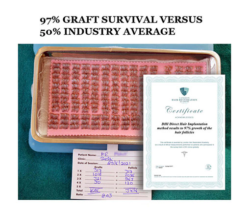graft survival rate DHI vs others