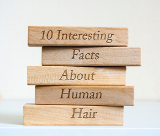 10 interesting facts Human Hair